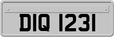 DIQ1231