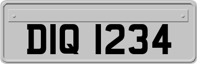 DIQ1234