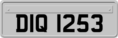 DIQ1253