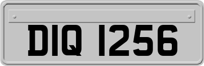 DIQ1256