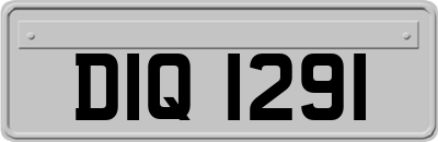 DIQ1291