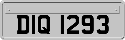 DIQ1293