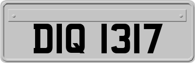 DIQ1317