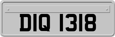 DIQ1318