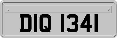DIQ1341