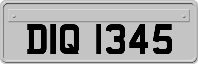 DIQ1345
