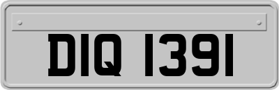 DIQ1391