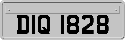 DIQ1828