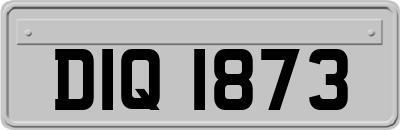 DIQ1873