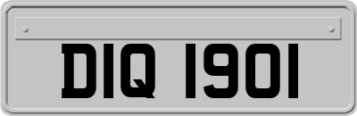 DIQ1901