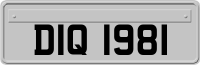 DIQ1981