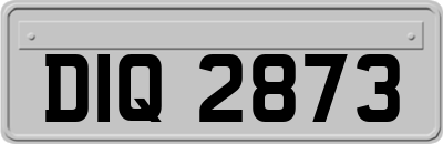 DIQ2873