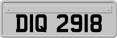 DIQ2918