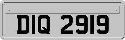 DIQ2919
