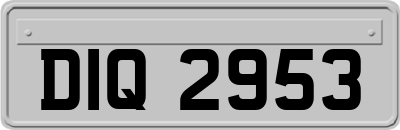DIQ2953