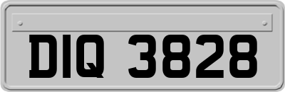 DIQ3828