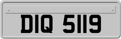 DIQ5119