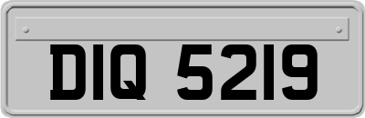 DIQ5219