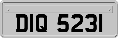 DIQ5231