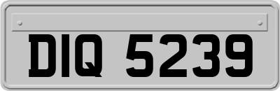 DIQ5239