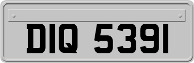 DIQ5391