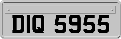 DIQ5955