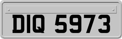 DIQ5973