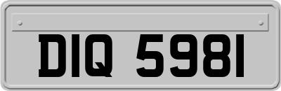DIQ5981