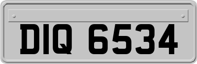 DIQ6534
