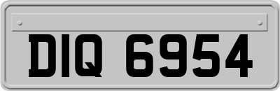 DIQ6954