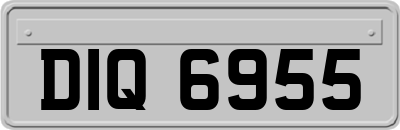 DIQ6955