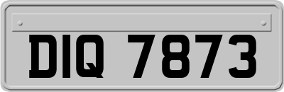 DIQ7873