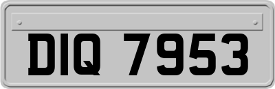 DIQ7953