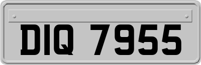 DIQ7955