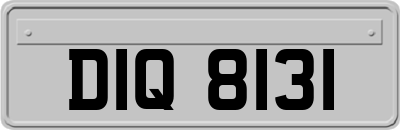DIQ8131