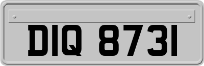 DIQ8731