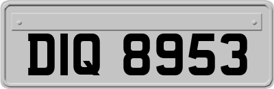 DIQ8953