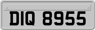 DIQ8955