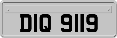 DIQ9119