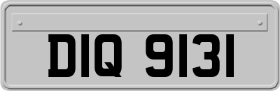 DIQ9131