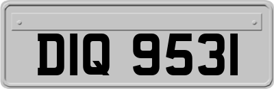 DIQ9531
