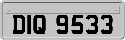 DIQ9533