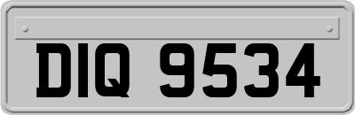 DIQ9534