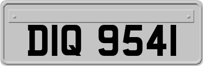 DIQ9541