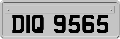 DIQ9565