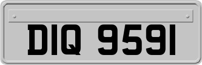 DIQ9591