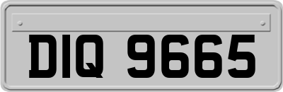 DIQ9665