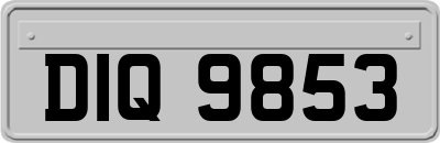 DIQ9853