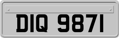 DIQ9871