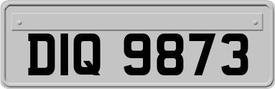 DIQ9873